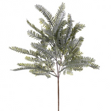 21" Sawtooth Fern Bush