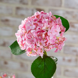 20" Pink Hydrangea Stem
