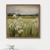 12x12" Wild White Irises By Gina Kelly