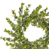 22" Eucalyptus Wreath