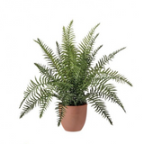 19" Natural Touch Boston Fern