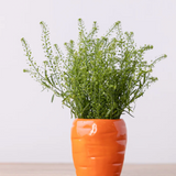 3.5" Carrot Planter