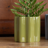Mini Dol Wavy Planter