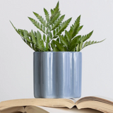 Mini Dol Wavy Planter