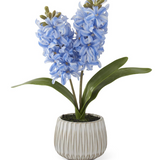 16" Blue Real Touch Hyacinth