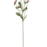 28" Pink Globe Amaranth Spray
