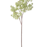 27" Hoary Cress White Bud Spray
