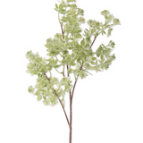 27" Hoary Cress White Bud Spray