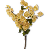 Yellow Peach Blossom Bush