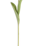 26.5" Fuchsia Silk Touch Single Tulip Stem