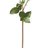 20" Cream Real Touch Distant Drums Rose Spray