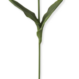 18.5" White Real Touch Tulip Stem