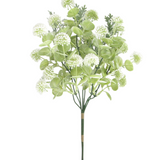 13" Trifolium Bush