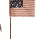 Fabric Americana Flag