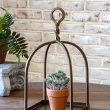 Antique Brass Displayer