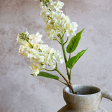 Cream Cone Hydrangea Stem