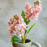 Pink Cone Hydrangea Stem