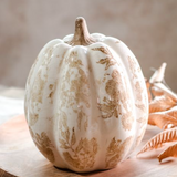 8.5" Beige Heirloom Pumpkin