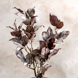 30" Pyrostegia Leaf Branch - Brown