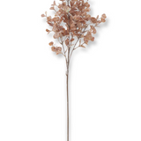 32" Brown Washed Eucalyptus Stem