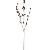 33" Brown Pussy Willow Stem