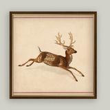 Spotted Deer | 15x15"