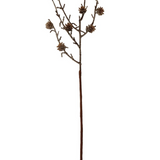 19" Pinecone Pick