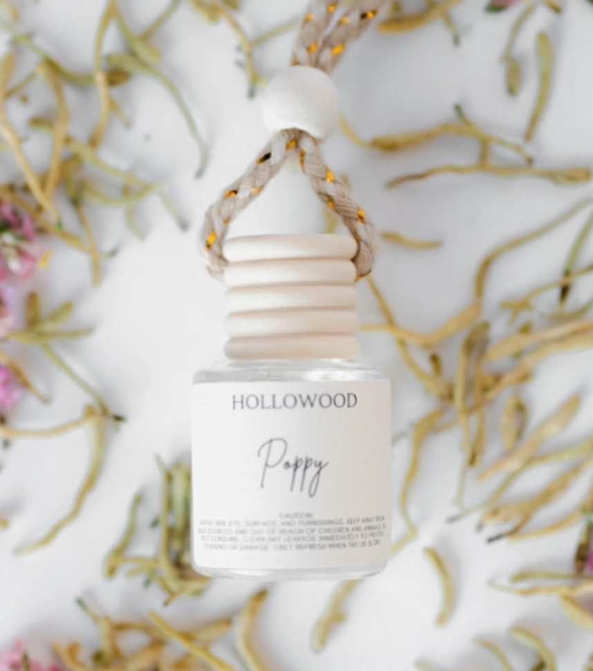 Everyday Hollowood Car Diffuser