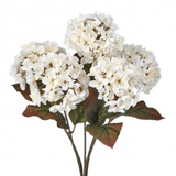 17" Mini Autumn Hydragnea Bush