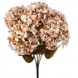 Late Autumn Hydragnea Bush 22"