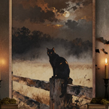 Black Cat On Fence | 5x8