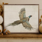 Pheasant | 20x16