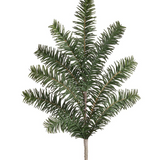 29" Yew Pine Spray