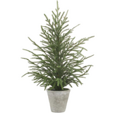15" Cypress Tree In Cement Pot
