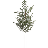 36" Cypress Spray