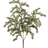 21" Pine Bush