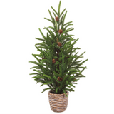 24" Pine Tree