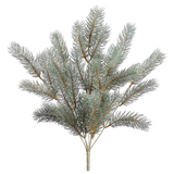 18" Round Tip Pine Bush