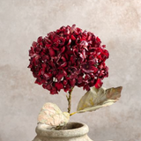 25" Burgundy Hydrangea Branch