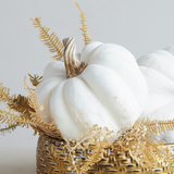 Resin Pumpkin | 8x6"