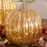 LED Pumpkin | 10x12"