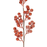 30" Berry Spray