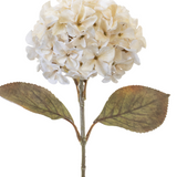 26.5" Hydrangea Stem