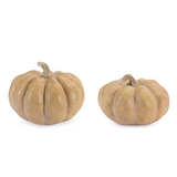 Orange Pumpkin | 4.5", 6.5"