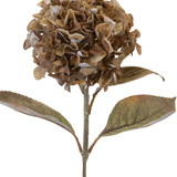 26.5" Hydrangea Stem