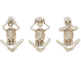 Skeleton