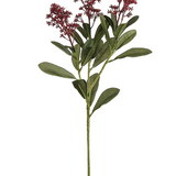 26" Burgundy Skimmia Spray