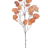 Apple Leaf Spray Br