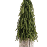 25" Cypress Cone Topiary In Basket