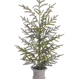33" Willow Pine Tree